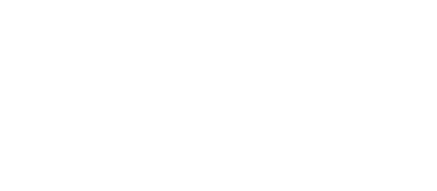 Image Title Alt Image